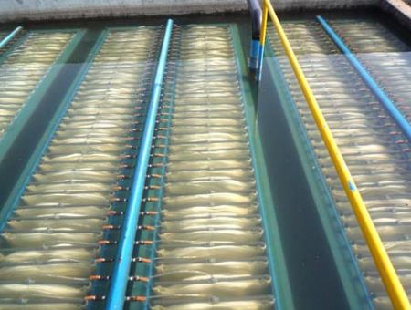 點擊查看詳細信息<br>標題：MBR膜生物反應器 閱讀次數：2661